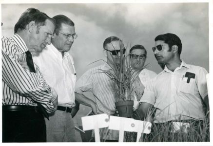 Dr. Gurdev Khush with World Bank President Bob McNamara, 1971.  Courtesy of the Khush Family.