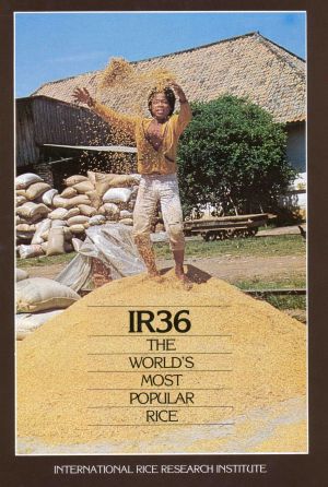 IR36