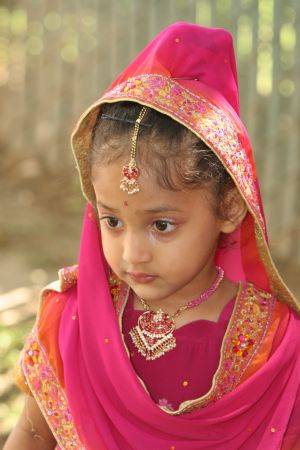 Punjabi American Festival, 2005.  Courtesy of the Kang Family