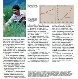 IR36, IRRI Publication, Page 6
