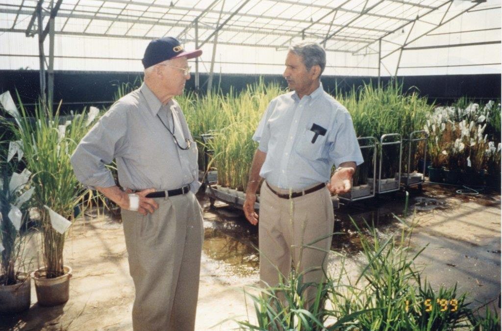 Normal Borlaug and Gurdev Khush, Circa 2000s