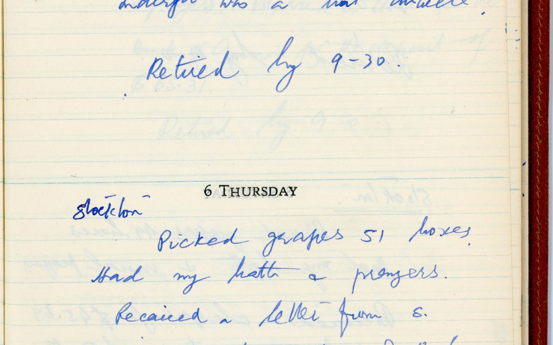 hse-diary-1-page-166