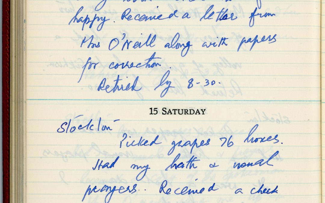hse-diary-1-page-171