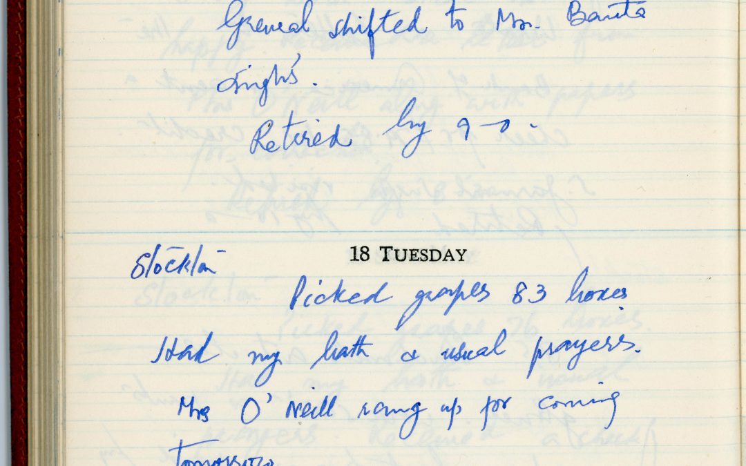 hse-diary-1-page-173