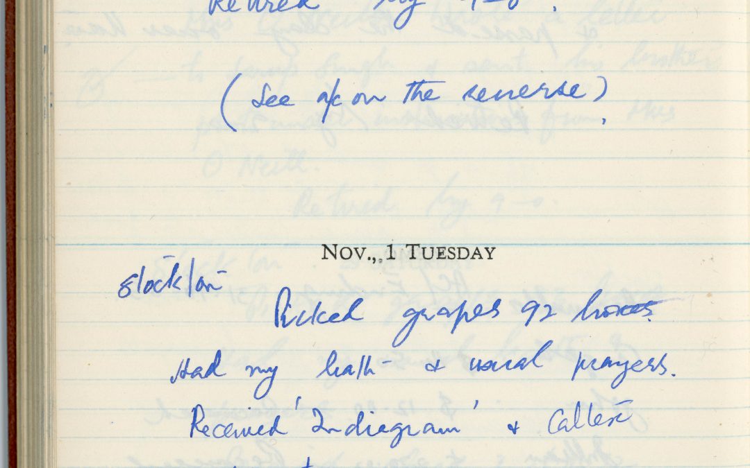 hse-diary-1-page-181