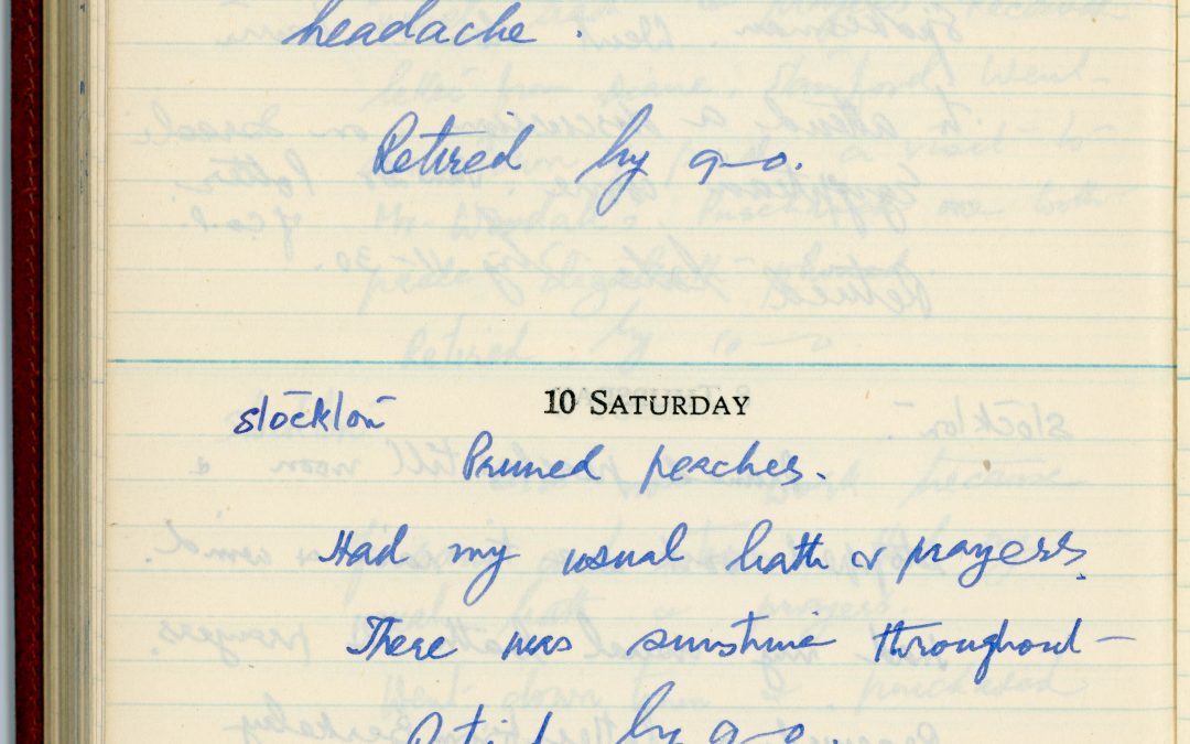 hse-diary-1-page-203