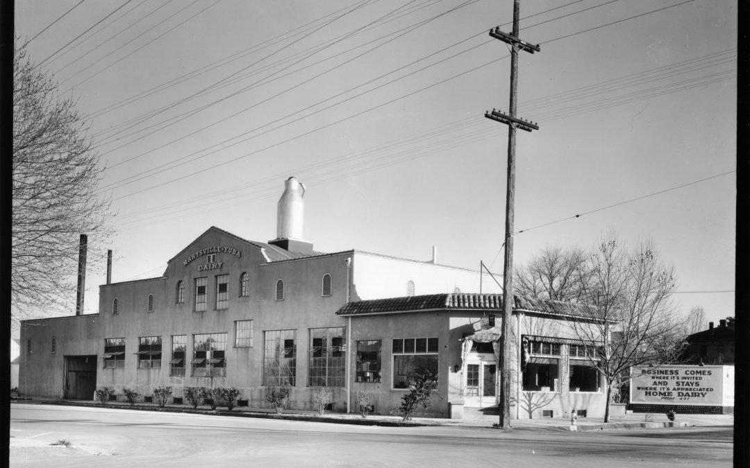 Marysville Dairy.  Courtesy of the California State Library.