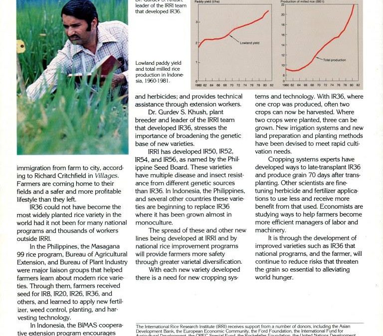 IR36, IRRI Publication, Page 6